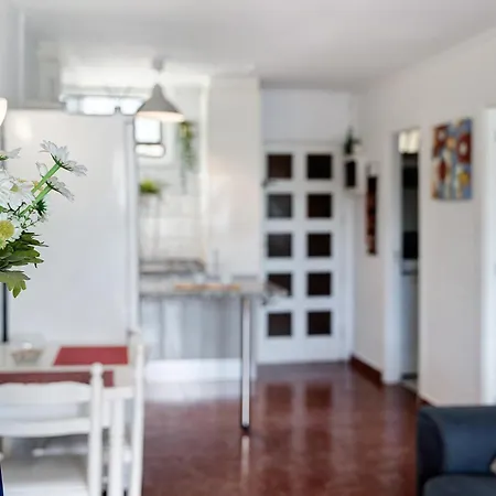 Apto 111 El Dorado Playa Americas By Paramount Holidays Apartment *